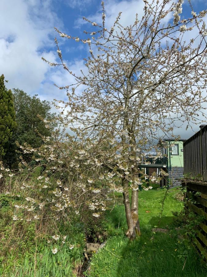 Delightful 3 Bedroom Holiday Home With Balcony Overlooking Fields And A Stream Gisburn Exterior foto